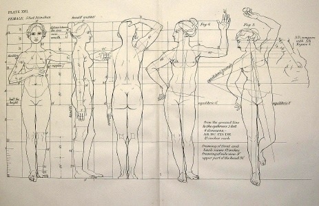 Art  Students Guide to Proportion