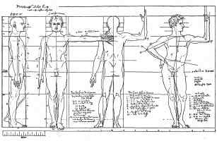 Proportions of the Human Form