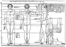 Proportions of the Human Form