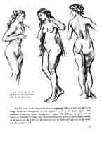 Drawing the Female Figure