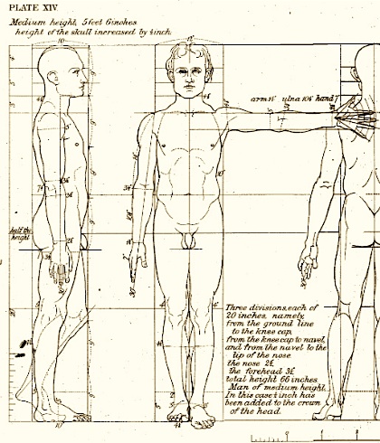 On the right - The Sculptor and Art Student's Guide to the Proportions of 