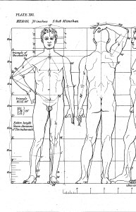 The Art Student's Guide to the Proportions of the Human Form