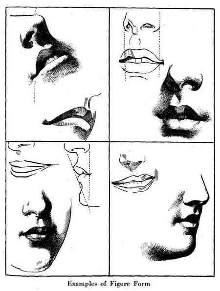 noses to draw. how to draw mouths