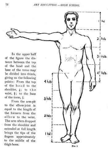 proportions of body. the ody is the equivilant