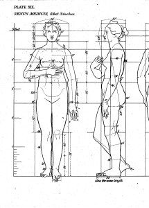 Human Figure Coursework Guide